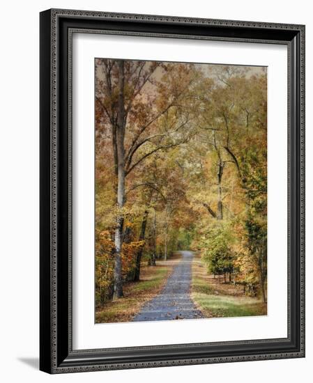 Autumn Passage 2-Jai Johnson-Framed Photographic Print