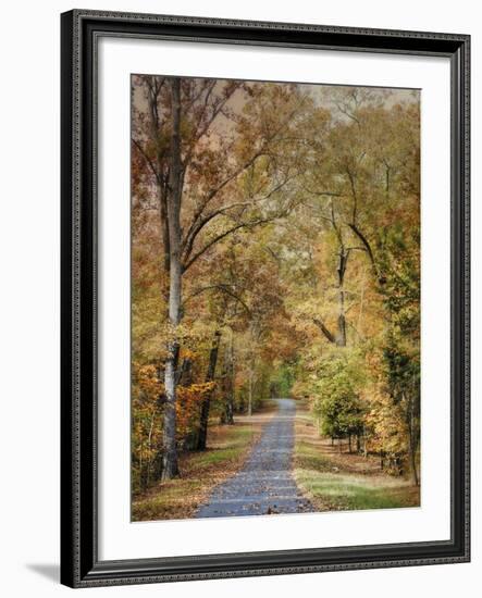 Autumn Passage 2-Jai Johnson-Framed Photographic Print