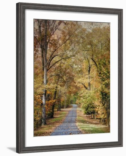 Autumn Passage 2-Jai Johnson-Framed Photographic Print