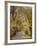 Autumn Passage 2-Jai Johnson-Framed Photographic Print