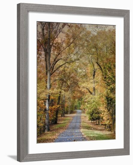 Autumn Passage 2-Jai Johnson-Framed Photographic Print