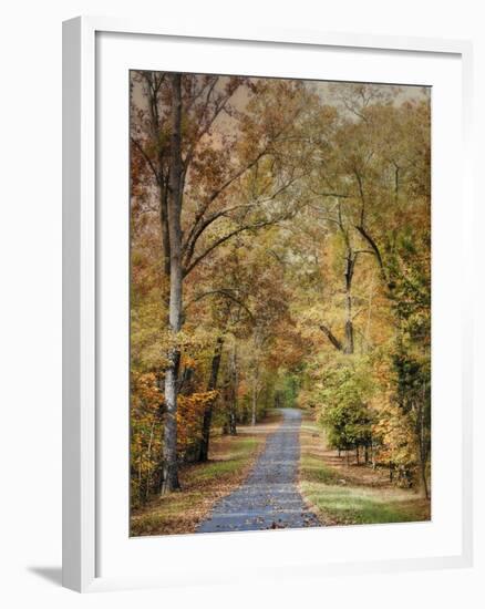 Autumn Passage 2-Jai Johnson-Framed Photographic Print