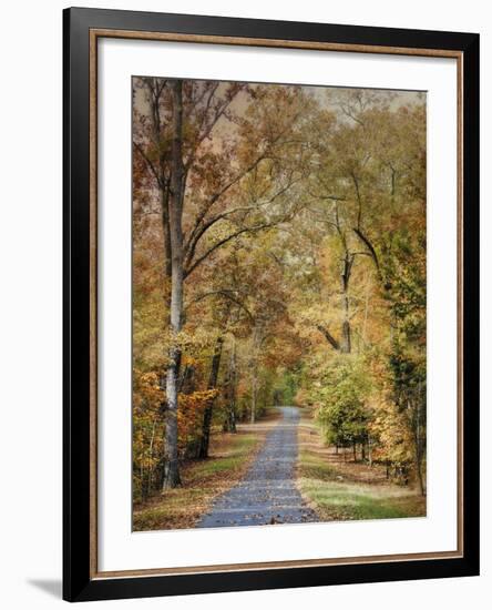 Autumn Passage 2-Jai Johnson-Framed Photographic Print