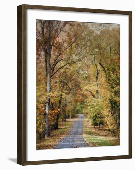 Autumn Passage 2-Jai Johnson-Framed Photographic Print