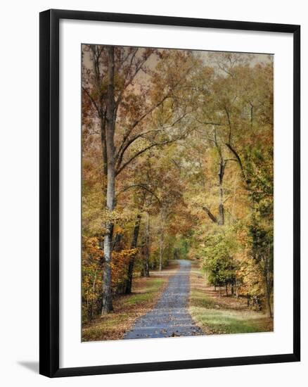 Autumn Passage 2-Jai Johnson-Framed Photographic Print