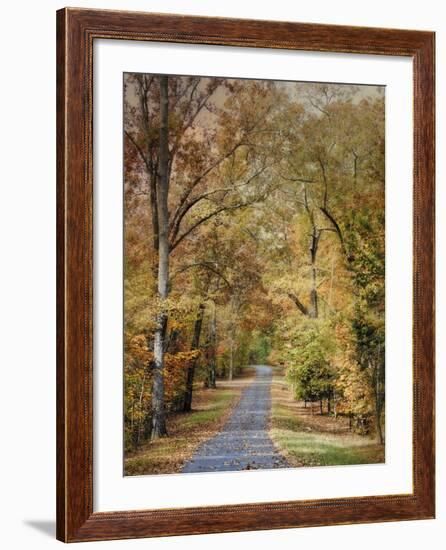 Autumn Passage 2-Jai Johnson-Framed Photographic Print