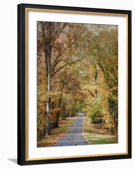 Autumn Passage 2-Jai Johnson-Framed Photographic Print