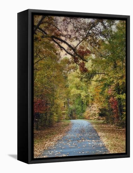 Autumn Passage 3-Jai Johnson-Framed Premier Image Canvas