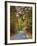 Autumn Passage 3-Jai Johnson-Framed Photographic Print