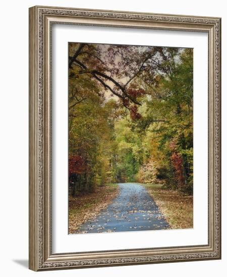 Autumn Passage 3-Jai Johnson-Framed Photographic Print