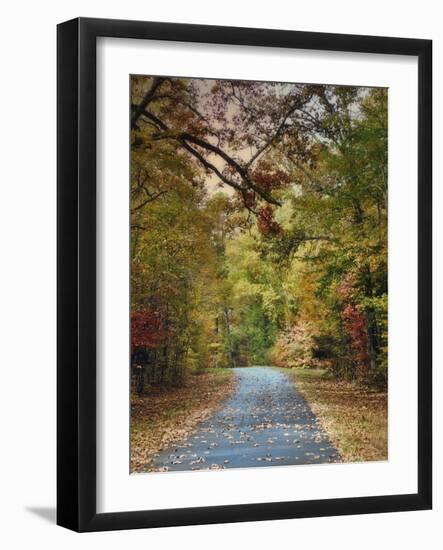 Autumn Passage 3-Jai Johnson-Framed Photographic Print