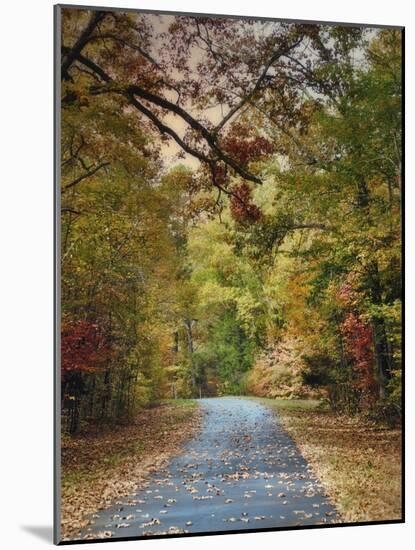 Autumn Passage 3-Jai Johnson-Mounted Photographic Print