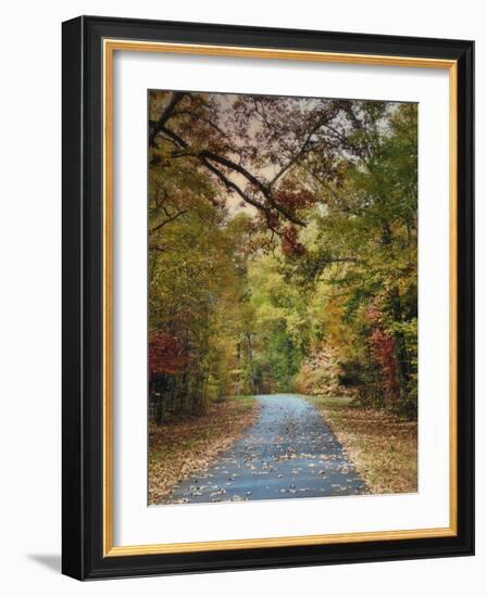 Autumn Passage 3-Jai Johnson-Framed Photographic Print