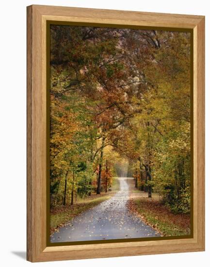 Autumn Passage 4-Jai Johnson-Framed Premier Image Canvas