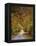 Autumn Passage 4-Jai Johnson-Framed Premier Image Canvas