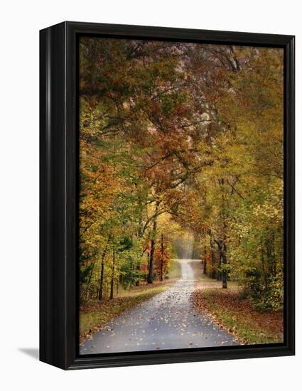 Autumn Passage 4-Jai Johnson-Framed Premier Image Canvas