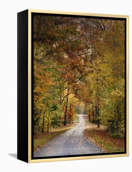 Autumn Passage 4-Jai Johnson-Framed Premier Image Canvas