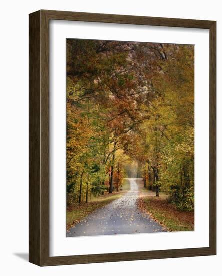 Autumn Passage 4-Jai Johnson-Framed Photographic Print