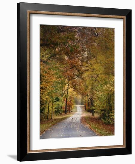 Autumn Passage 4-Jai Johnson-Framed Photographic Print