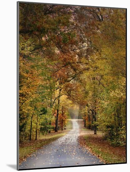 Autumn Passage 4-Jai Johnson-Mounted Photographic Print