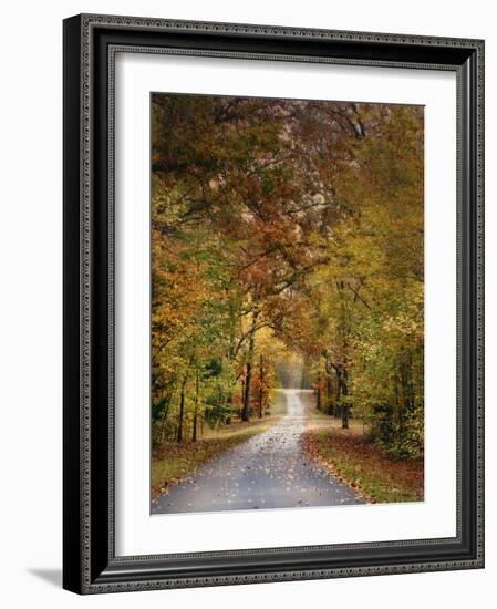 Autumn Passage 4-Jai Johnson-Framed Photographic Print