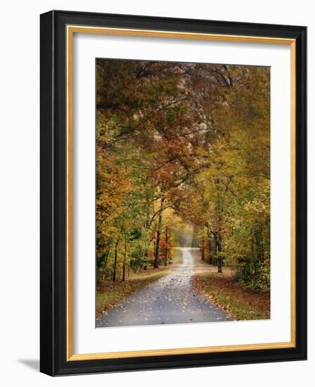 Autumn Passage 4-Jai Johnson-Framed Photographic Print