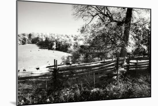 Autumn Pastures II-Alan Hausenflock-Mounted Photographic Print