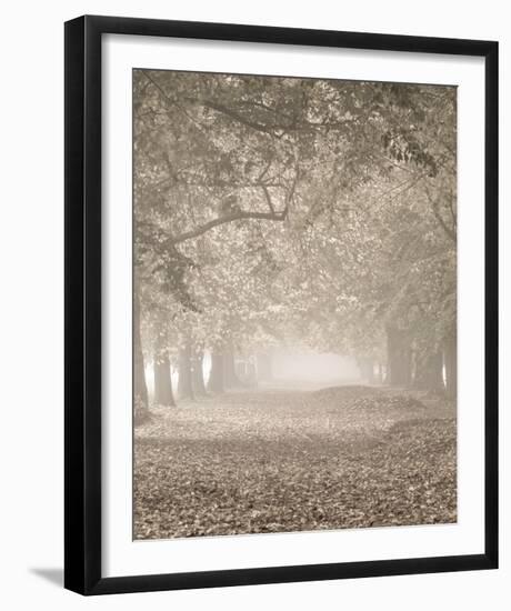 Autumn Path - Detail II-Assaf Frank-Framed Giclee Print