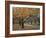 Autumn Path I-Nicole Katano-Framed Photo