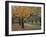 Autumn Path I-Nicole Katano-Framed Photo