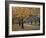 Autumn Path I-Nicole Katano-Framed Photo