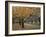 Autumn Path I-Nicole Katano-Framed Photo