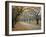 Autumn Path III-Nicole Katano-Framed Photo