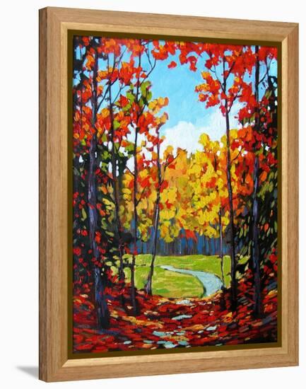 Autumn Path in Old Kinderhook III-Patty Baker-Framed Stretched Canvas