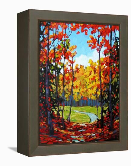 Autumn Path in Old Kinderhook III-Patty Baker-Framed Stretched Canvas