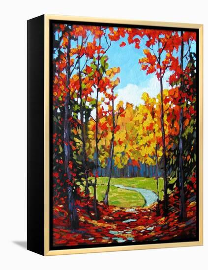 Autumn Path in Old Kinderhook III-Patty Baker-Framed Stretched Canvas
