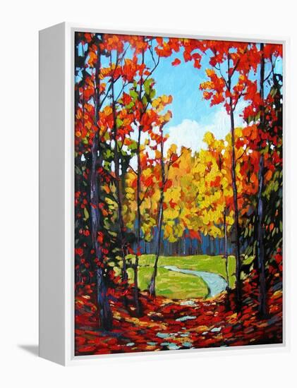 Autumn Path in Old Kinderhook III-Patty Baker-Framed Stretched Canvas