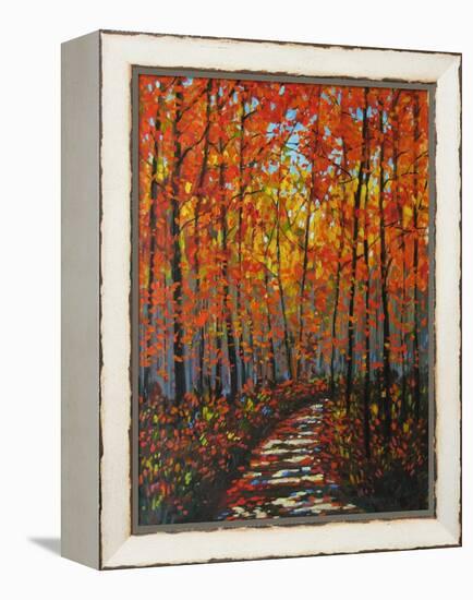 Autumn Path IX-Patty Baker-Framed Stretched Canvas