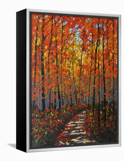 Autumn Path IX-Patty Baker-Framed Stretched Canvas