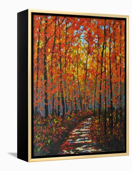 Autumn Path IX-Patty Baker-Framed Stretched Canvas