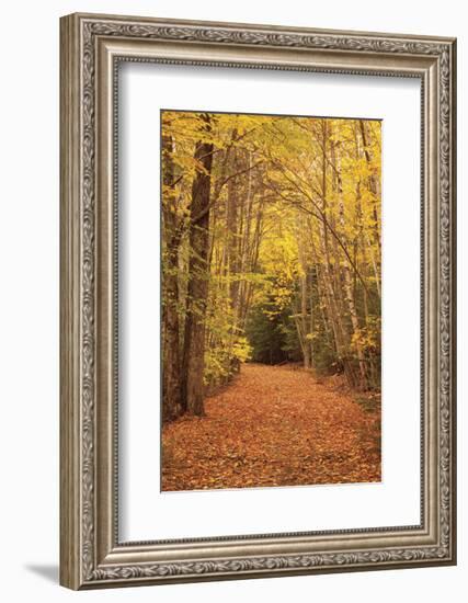 Autumn Path-Michael Hudson-Framed Art Print