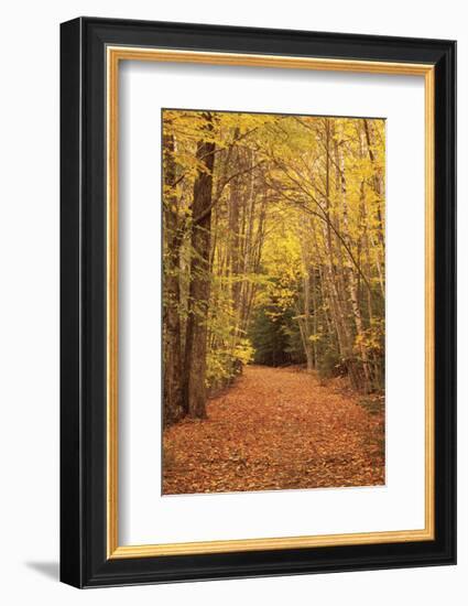 Autumn Path-Michael Hudson-Framed Art Print