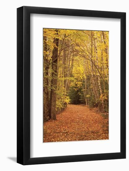 Autumn Path-Michael Hudson-Framed Art Print