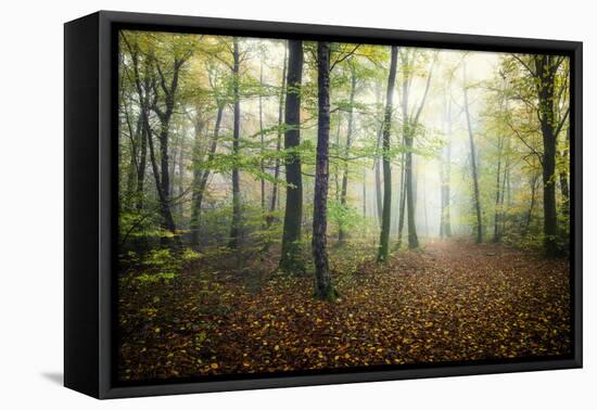 Autumn Path-Philippe Manguin-Framed Premier Image Canvas