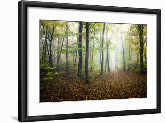 Autumn Path-Philippe Manguin-Framed Photographic Print