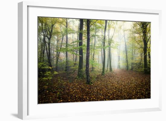 Autumn Path-Philippe Manguin-Framed Photographic Print