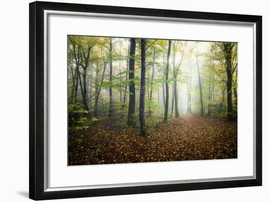 Autumn Path-Philippe Manguin-Framed Photographic Print