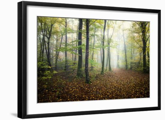 Autumn Path-Philippe Manguin-Framed Photographic Print