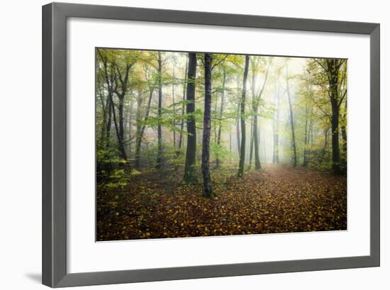 Autumn Path-Philippe Manguin-Framed Photographic Print