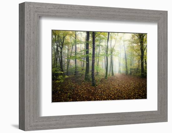 Autumn Path-Philippe Manguin-Framed Photographic Print